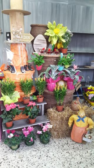 Fleuriste Claire Flor 0