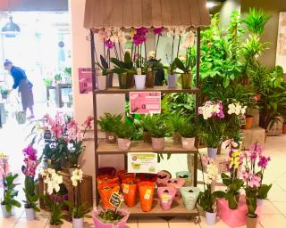 Fleuriste Au bonheur des saisons 0