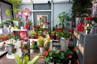Fleuriste La Pergola 0