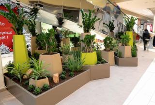 Fleuriste Les Jardins de Gally Strasbourg 0