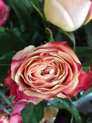 Fleuriste Sim' Fleur Maison Plasse 0