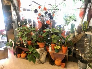 Fleuriste Isa Fleurs Elbeuf 0