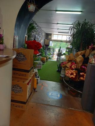 Fleuriste Crazy Precio 0