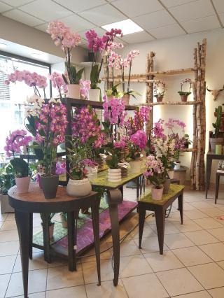 Fleuriste Suzy Flore 1