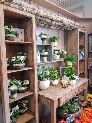 Fleuriste Suzy Flore 2