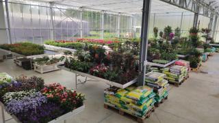 Fleuriste Sundgau Fleurs Ruetsch Aurélie Championne de France des Fleuristes 2