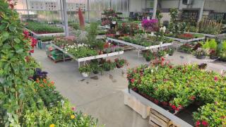 Fleuriste Sundgau Fleurs Ruetsch Aurélie Championne de France des Fleuristes 0