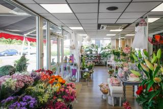 Fleuriste Blanc Bleu Rêve 0