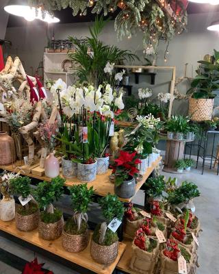 Fleuriste Santini's Garden 0