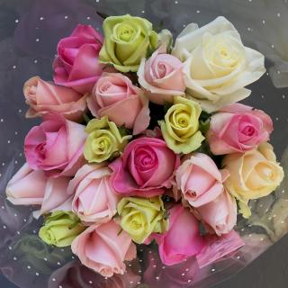 Fleuriste Point Rose 0