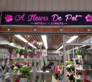 Fleuriste A Fleurs de Pot 0