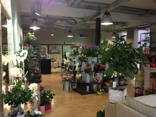 Fleuriste eauxygène Fleuriste 2