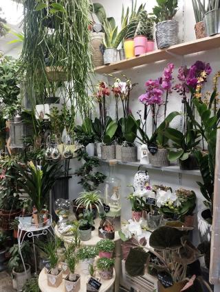 Fleuriste Les 4 Saisons 0