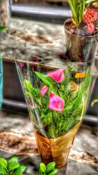 Fleuriste Les Jardins Suspendus 0