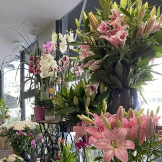 Fleuriste Les Jardins Suspendus 0