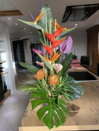 Fleuriste Aqua Flora 0