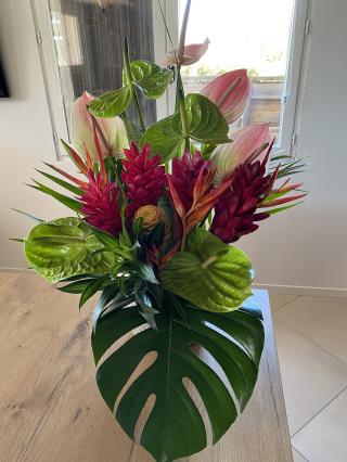 Fleuriste Aqua Flora 0