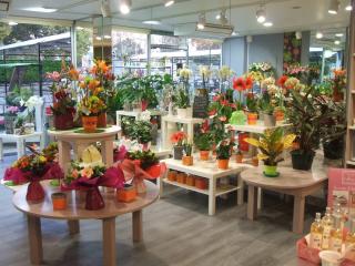Fleuriste Jany Fleuriste 0