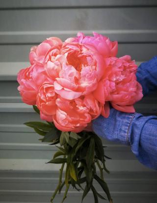 Fleuriste Fleurs, Arômes et Botaniques 0