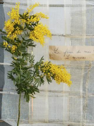 Fleuriste Fleurs, Arômes et Botaniques 0