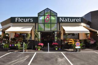 Fleuriste Fleurs Ô Naturel 0