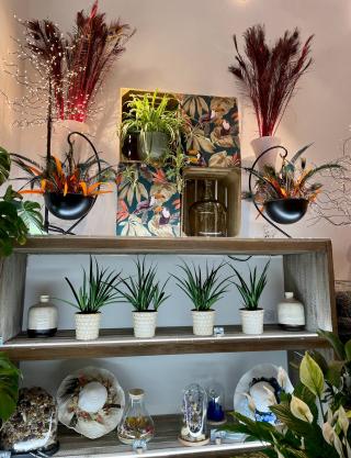 Fleuriste Aux Colonnes Fleuries 