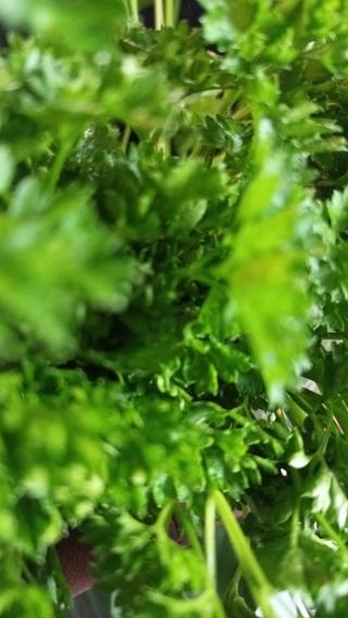 Fleuriste Conter Fleurette, Fleuriste Amiens 0