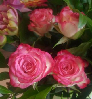 Fleuriste Conter Fleurette, Fleuriste Amiens 0