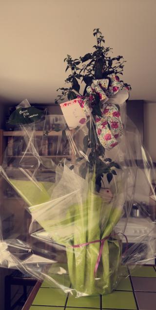 Fleuriste Aux Mille et Une Fleurs 0