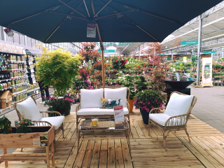 Fleuriste Truffaut 2