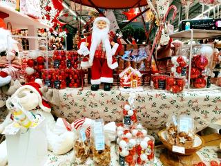 Fleuriste Truffaut 0