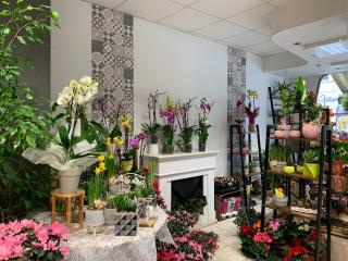 Fleuriste Matt' Line Fleurs 2