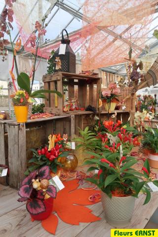 Fleuriste Fleurs Ernst 0