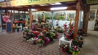 Fleuriste Espace Fleuri jardinerie Bourg en Bresse 0