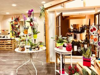 Fleuriste Bouquet de Coccinelle 0