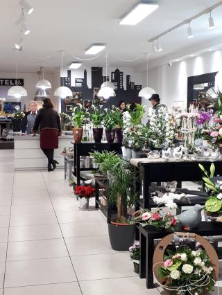 Fleuriste Rose' tea Fleuriste 0