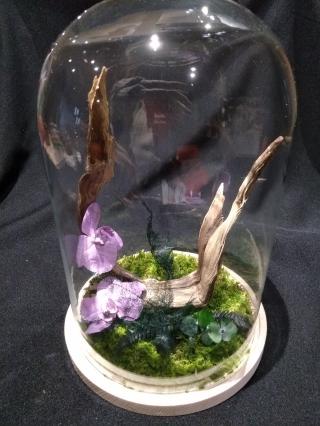 Fleuriste Irène Audry / ARS INTRA DESIGN 0