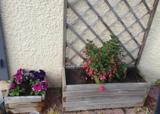 Fleuriste Lecerre Fleurs 0