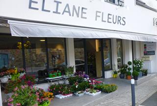 Fleuriste Eliane Fleurs 0