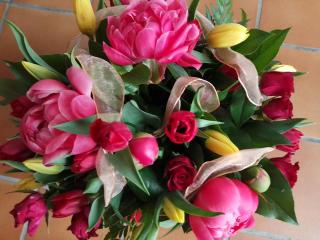 Fleuriste Fleurs d'Anis 0