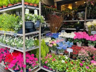 Fleuriste Les Fleurs du Point du Jour 0