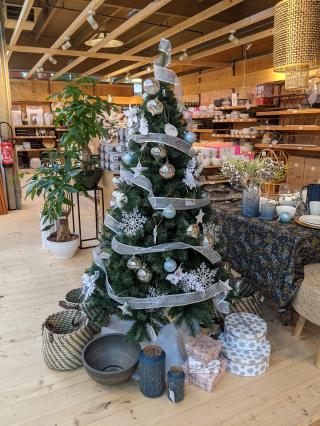 Fleuriste Botanic l'isle d'Abeau 2