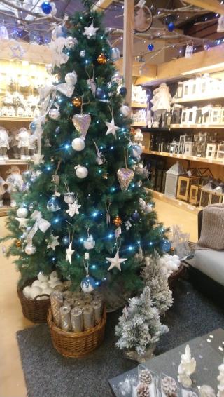 Fleuriste Botanic l'isle d'Abeau 0