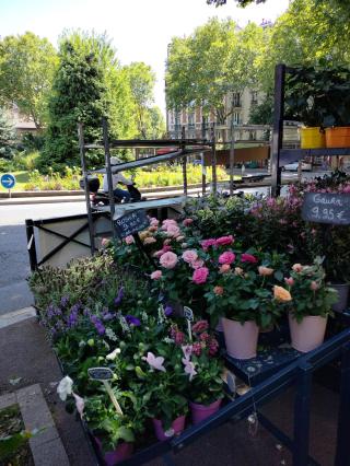 Fleuriste Monceau Fleurs 2