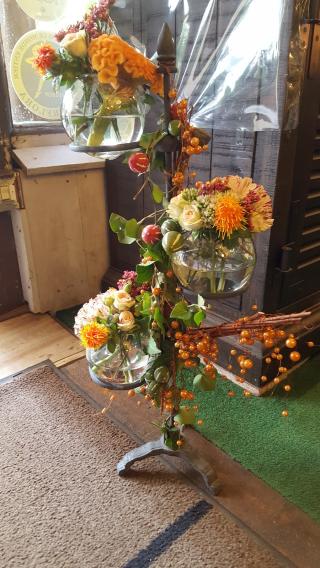 Fleuriste Boule de Mousse 0