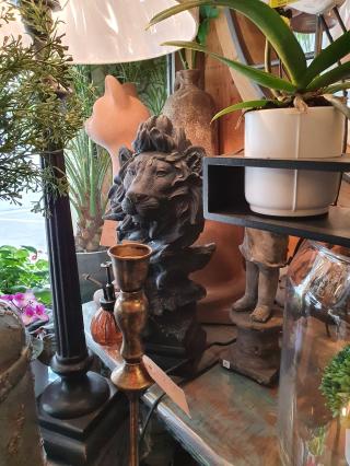 Fleuriste Boule de Mousse 0