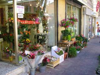 Fleuriste Harmonie Florale 0