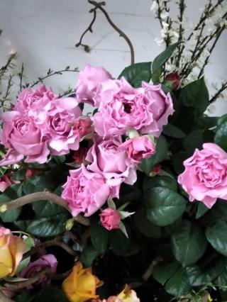 Fleuriste Le Jardin des Parliers 0