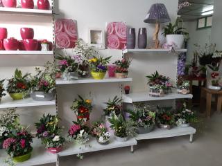 Fleuriste Jardinerie BRETIERE, Sarl Crest Flore 0