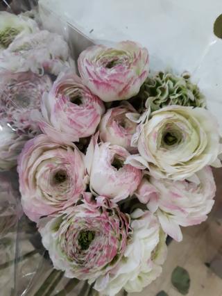 Fleuriste Fleuriste La Garde - Fleurissant en face de la Société Générale 0